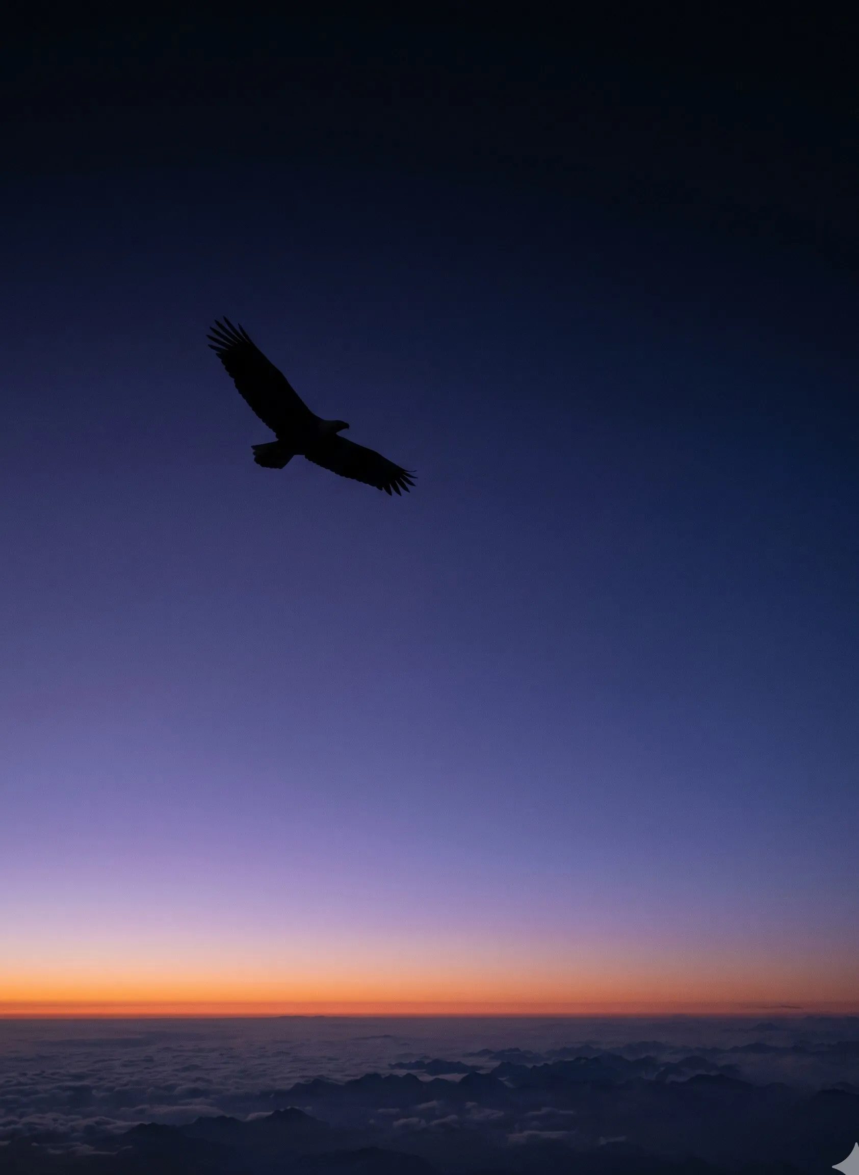A single eagle silhouetted in flight at peak altitude against a vast sky, papaya horizon band far below