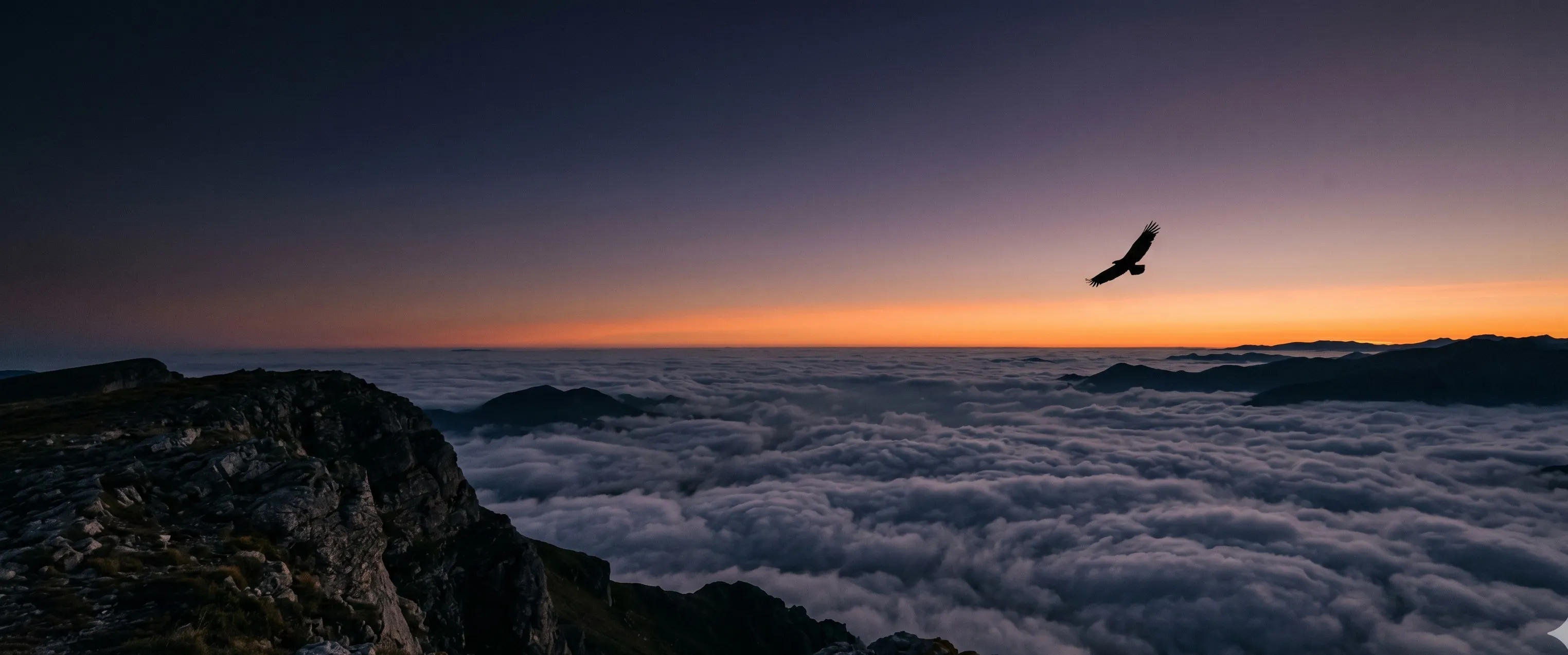 A bird soaring above a sea of clouds at dawn, ridge silhouetted against horizon