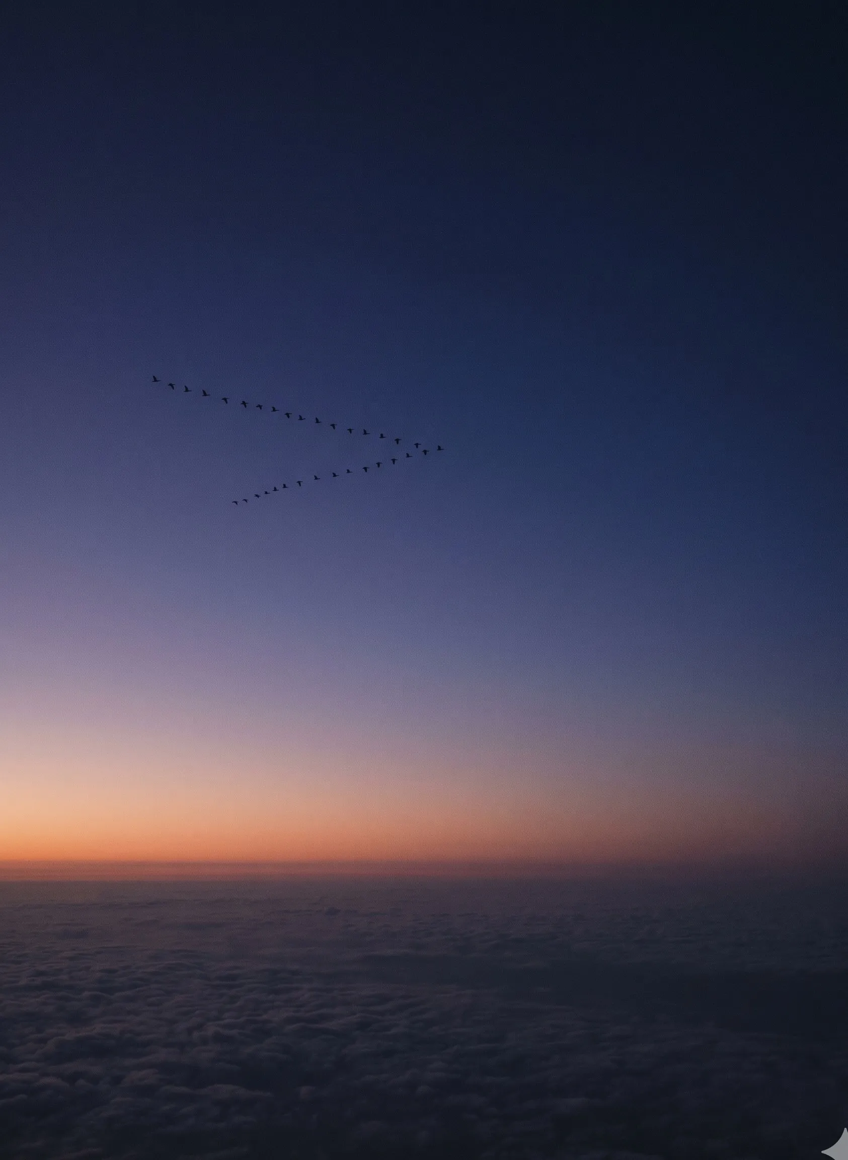 A distant flock of birds in V-formation against a dusk sky, with a papaya horizon band low and cloud sea below